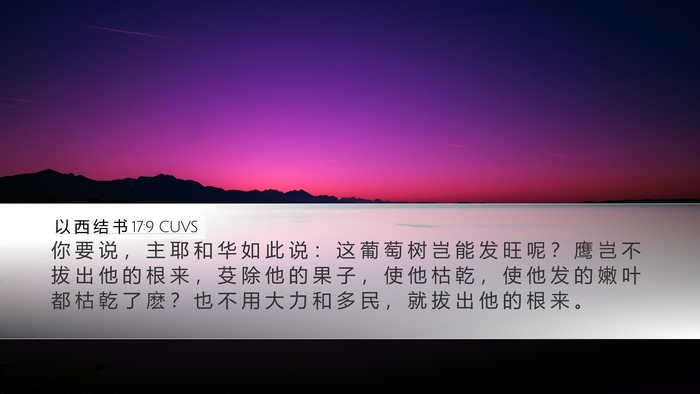以 西 结 书 17:9 CUVS Bible Verse Image