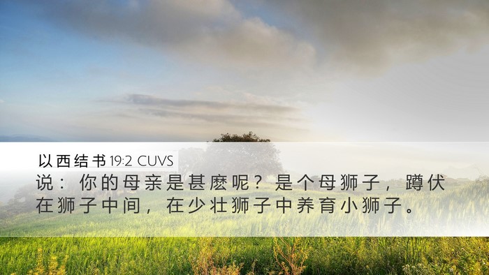 以 西 结 书 19:2 CUVS Bible Verse Image