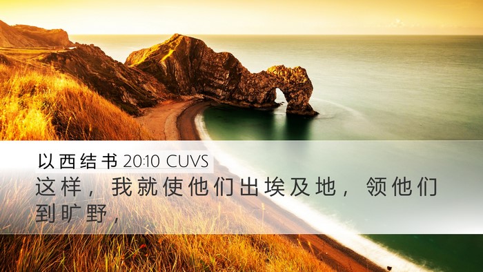 以 西 结 书 20:10 CUVS Bible Verse Image