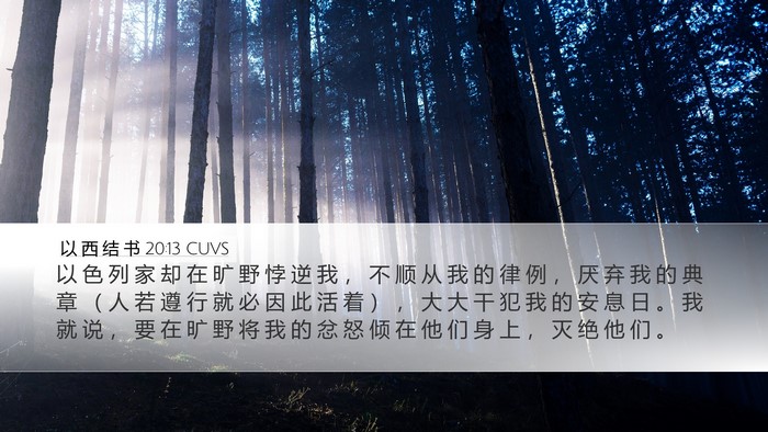 以 西 结 书 20:13 CUVS Bible Verse Image