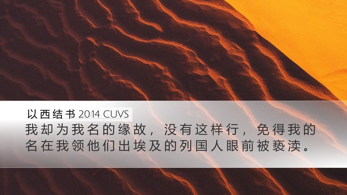 以 西 结 书 20:14 CUVS Bible Verse Image