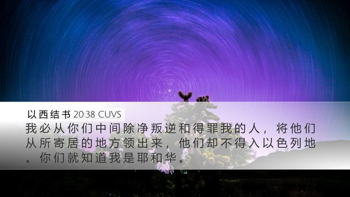 以 西 结 书 20:38 CUVS Bible Verse Image