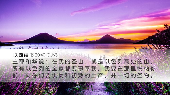 以 西 结 书 20:40 CUVS Bible Verse Image