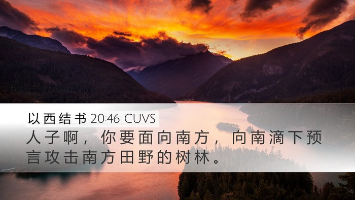 以 西 结 书 20:46 CUVS Bible Verse Image