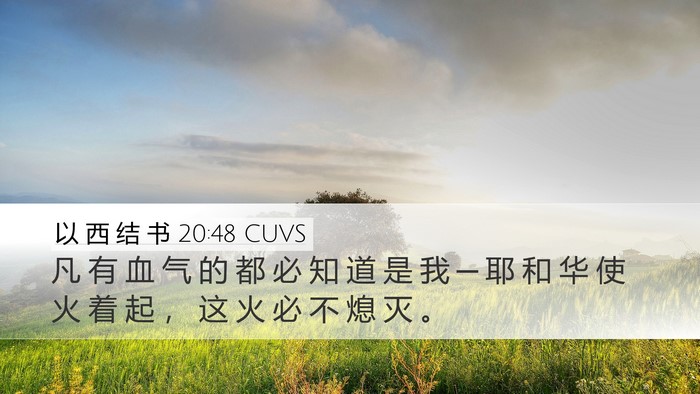 以 西 结 书 20:48 CUVS Bible Verse Image