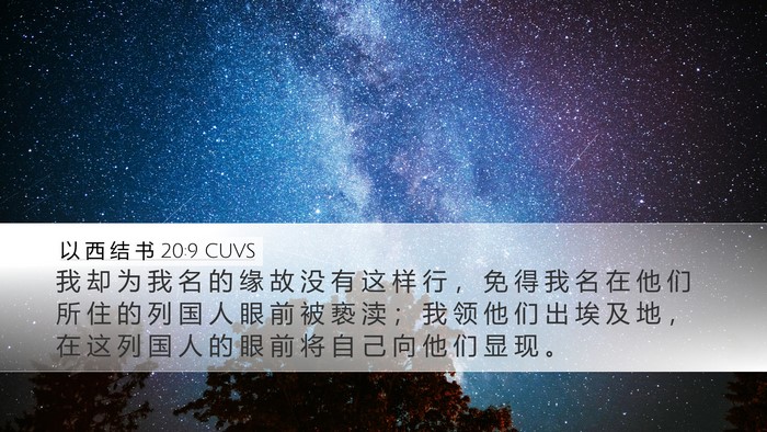 以 西 结 书 20:9 CUVS Bible Verse Image