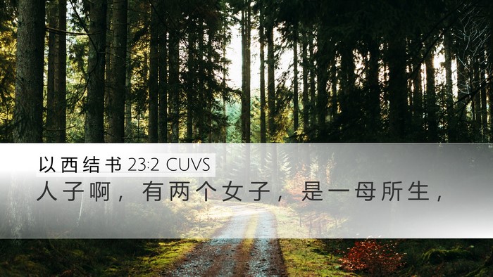 以 西 结 书 23:2 CUVS Bible Verse Image
