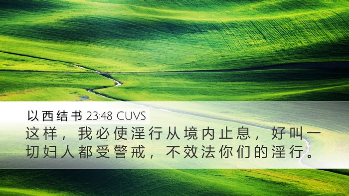 以 西 结 书 23:48 CUVS Bible Verse Image