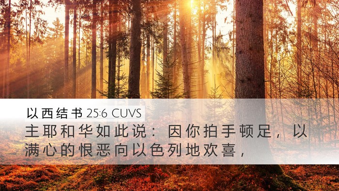 以 西 结 书 25:6 CUVS Bible Verse Image