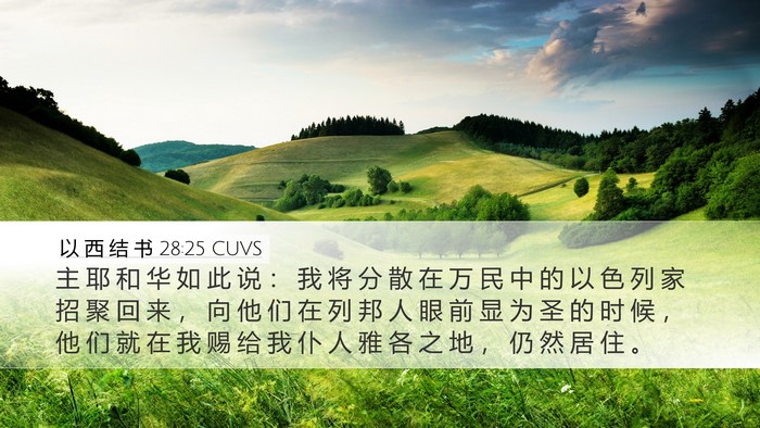 以 西 结 书 28:25 CUVS Bible Verse Image