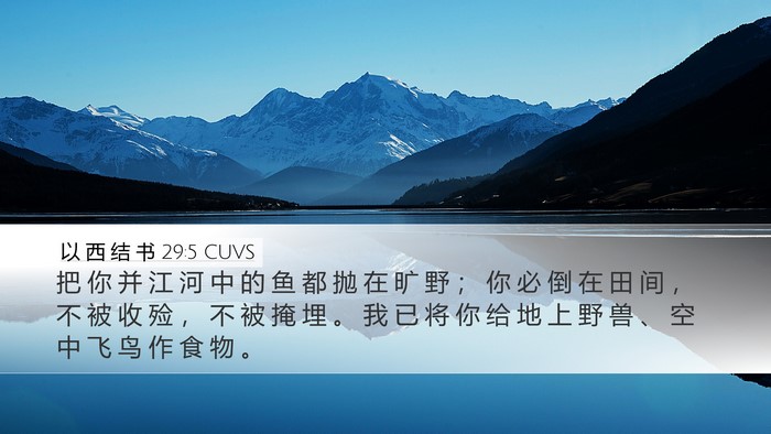 以 西 结 书 29:5 CUVS Bible Verse Image