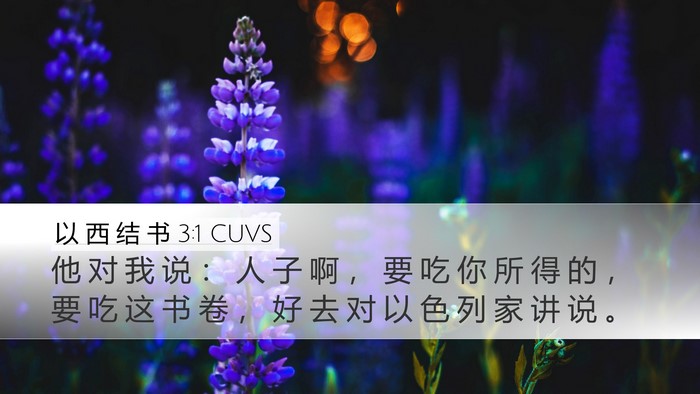 以 西 结 书 3:1 CUVS Desktop Wallpaper - 他 对 我 说 ： 人 子 啊 ， 要 吃 你 - Desktop Bible Verse Wallpaper