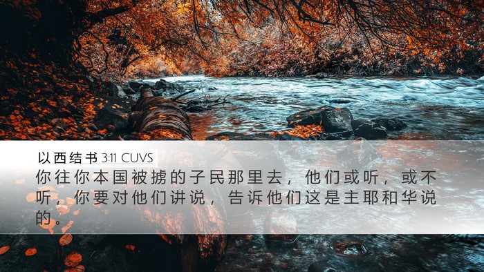 以 西 结 书 3:11 CUVS Bible Verse Image