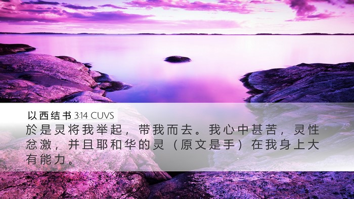 以 西 结 书 3:14 CUVS Bible Verse Image