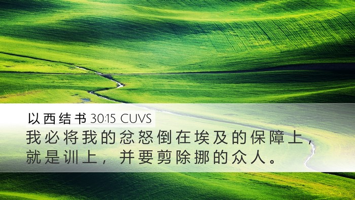 以 西 结 书 30:15 CUVS Bible Verse Image