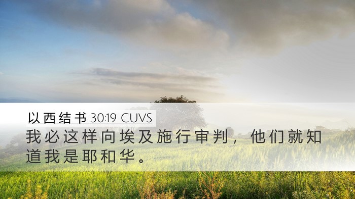 以 西 结 书 30:19 CUVS Bible Verse Image
