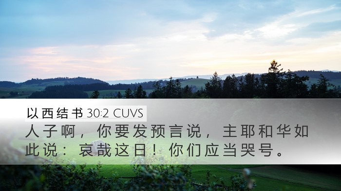 以 西 结 书 30:2 CUVS Bible Verse Image
