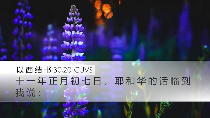 以 西 结 书 30:20 CUVS Bible Verse Image