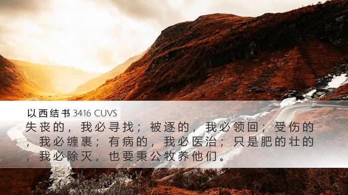 以 西 结 书 34:16 CUVS Bible Verse Image