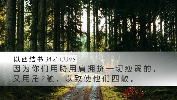 以 西 结 书 34:21 CUVS Desktop Wallpaper - 因 为 你 们 用 胁 用 肩 拥 挤 一 切 - Desktop Bible Verse Wallpaper