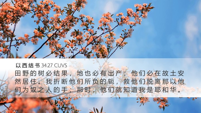 以 西 结 书 34:27 CUVS Bible Verse Image