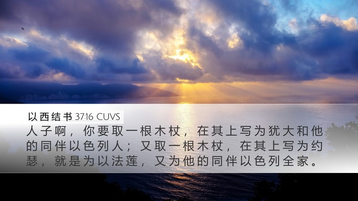 以 西 结 书 37:16 CUVS Bible Verse Image