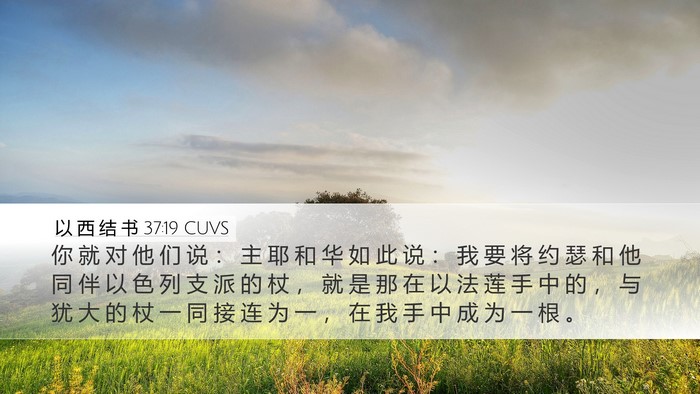 以 西 结 书 37:19 CUVS Bible Verse Image