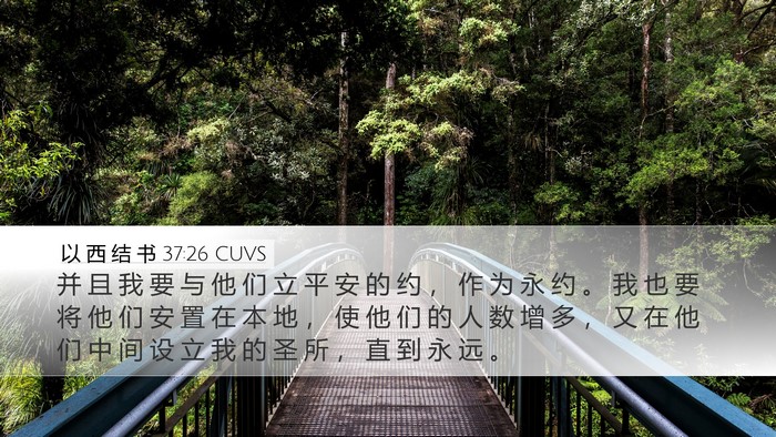 以 西 结 书 37:26 CUVS Bible Verse Image