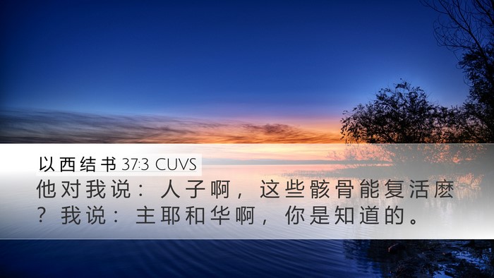以 西 结 书 37:3 CUVS Bible Verse Image
