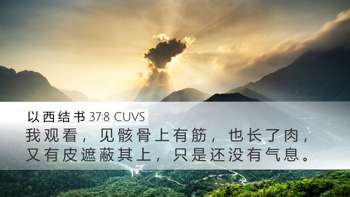 以 西 结 书 37:8 CUVS Desktop Wallpaper - 我 观 看 ， 见 骸 骨 上 有 筋 ， 也 - Desktop Bible Verse Wallpaper