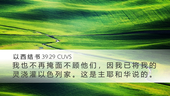 以 西 结 书 39:29 CUVS Desktop Wallpaper - 我 也 不 再 掩 面 不 顾 他 们 ， 因 - Desktop Bible Verse Wallpaper