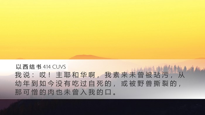 以 西 结 书 4:14 CUVS Bible Verse Image