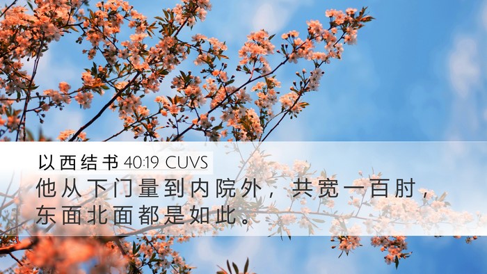 以 西 结 书 40:19 CUVS Bible Verse Image