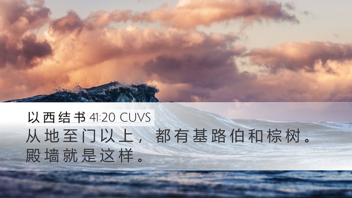 以 西 结 书 41:20 CUVS Bible Verse Image