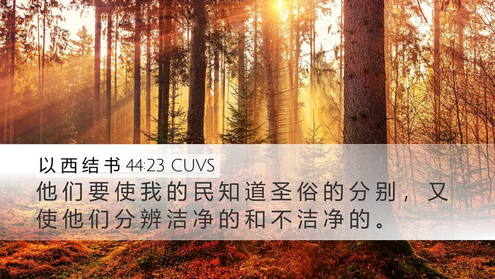 以 西 结 书 44:23 CUVS Bible Verse Image