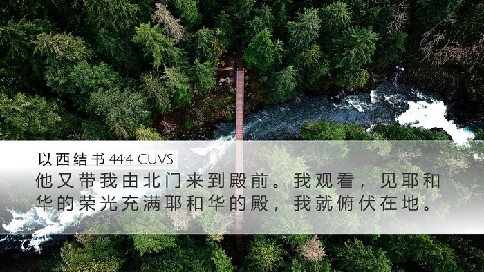 以 西 结 书 44:4 CUVS Bible Verse Image