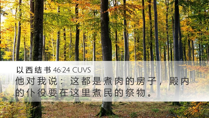 以 西 结 书 46:24 CUVS Desktop Wallpaper - 他 对 我 说 ： 这 都 是 煮 肉 的 房 - Desktop Bible Verse Wallpaper