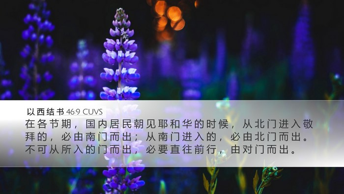 以 西 结 书 46:9 CUVS Bible Verse Image