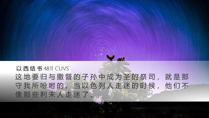 以 西 结 书 48:11 CUVS Bible Verse Image