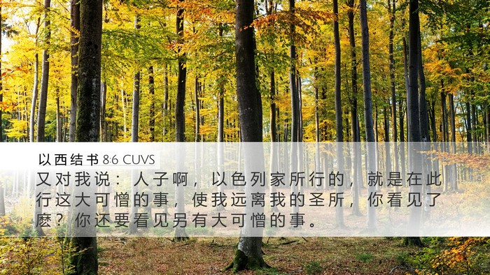 以 西 结 书 8:6 CUVS Bible Verse Image