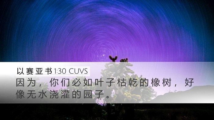 以 赛 亚 书 1:30 CUVS Bible Verse Image