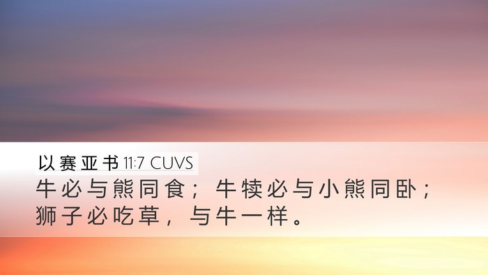 以 赛 亚 书 11:7 CUVS Desktop Wallpaper - 牛 必 与 熊 同 食 ； 牛 犊 必 与 小 - Desktop Bible Verse Wallpaper