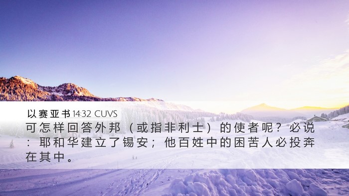 以 赛 亚 书 14:32 CUVS Bible Verse Image