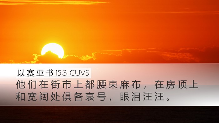 以 赛 亚 书 15:3 CUVS Bible Verse Image