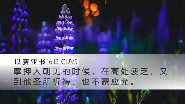 以 赛 亚 书 16:12 CUVS Bible Verse Image