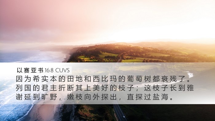 以 赛 亚 书 16:8 CUVS Bible Verse Image