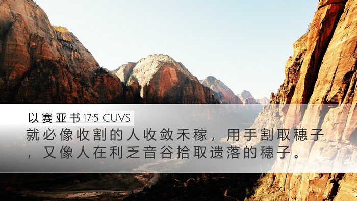 以 赛 亚 书 17:5 CUVS Bible Verse Image