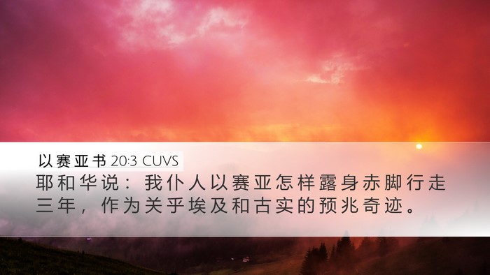 以 赛 亚 书 20:3 CUVS Bible Verse Image