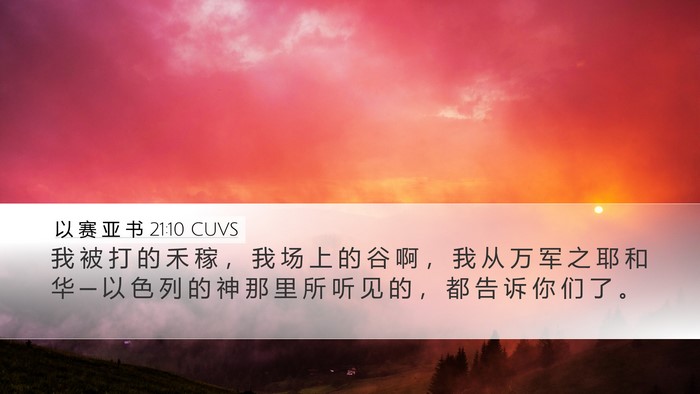 以 赛 亚 书 21:10 CUVS Bible Verse Image