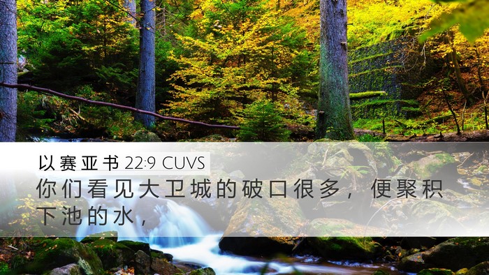 以 赛 亚 书 22:9 CUVS Bible Verse Image